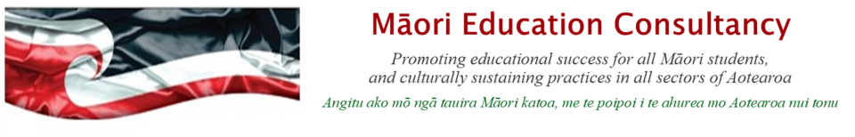 Māori Education Consultancy